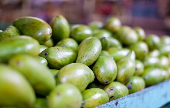 Mangos in indsutry backs