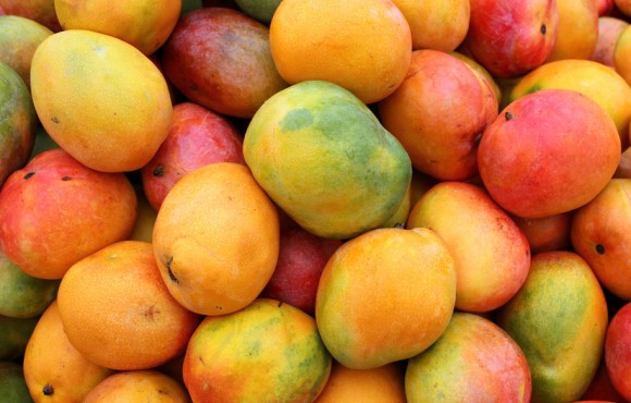 Ripe mangos